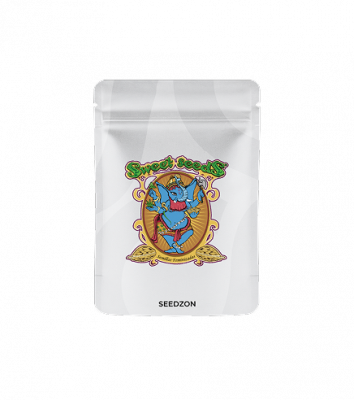 Studio 54 Stardust Auto