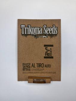 Al Tiro Auto - картинка 1