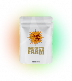 Watermelon Zkittlez Auto