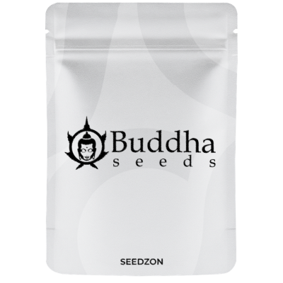Buddha Auto Cookie
